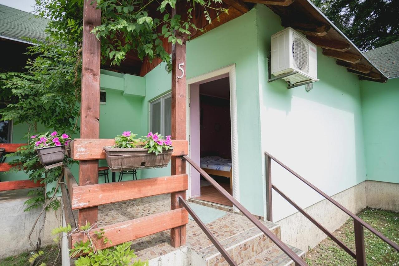 Pool And Villa Splav Dunavac Futog Bagian luar foto