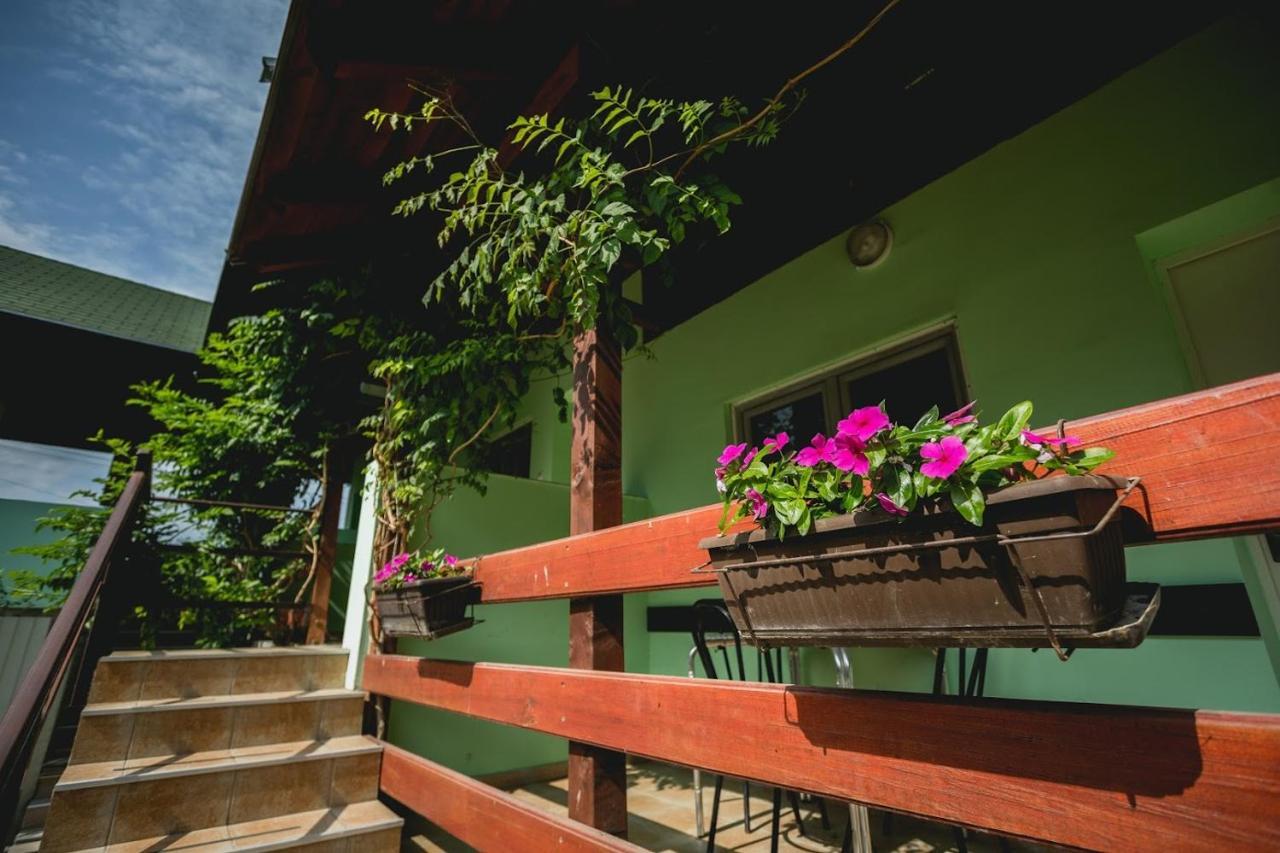Pool And Villa Splav Dunavac Futog Bagian luar foto