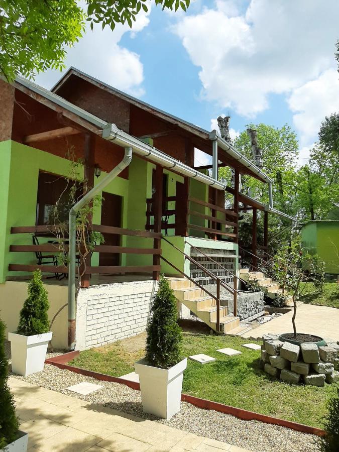 Pool And Villa Splav Dunavac Futog Bagian luar foto