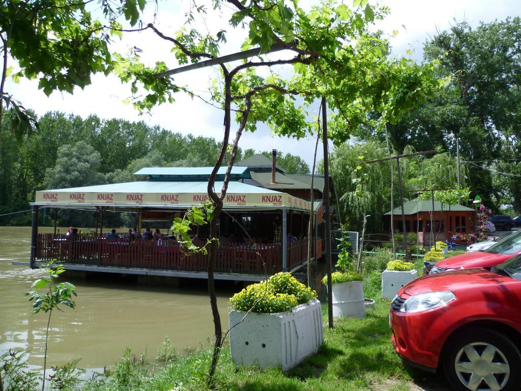 Pool And Villa Splav Dunavac Futog Bagian luar foto